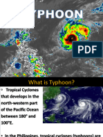 Typhoon 2022 2023