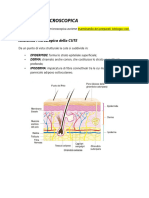 Anatomia - Anatomia Microscopica