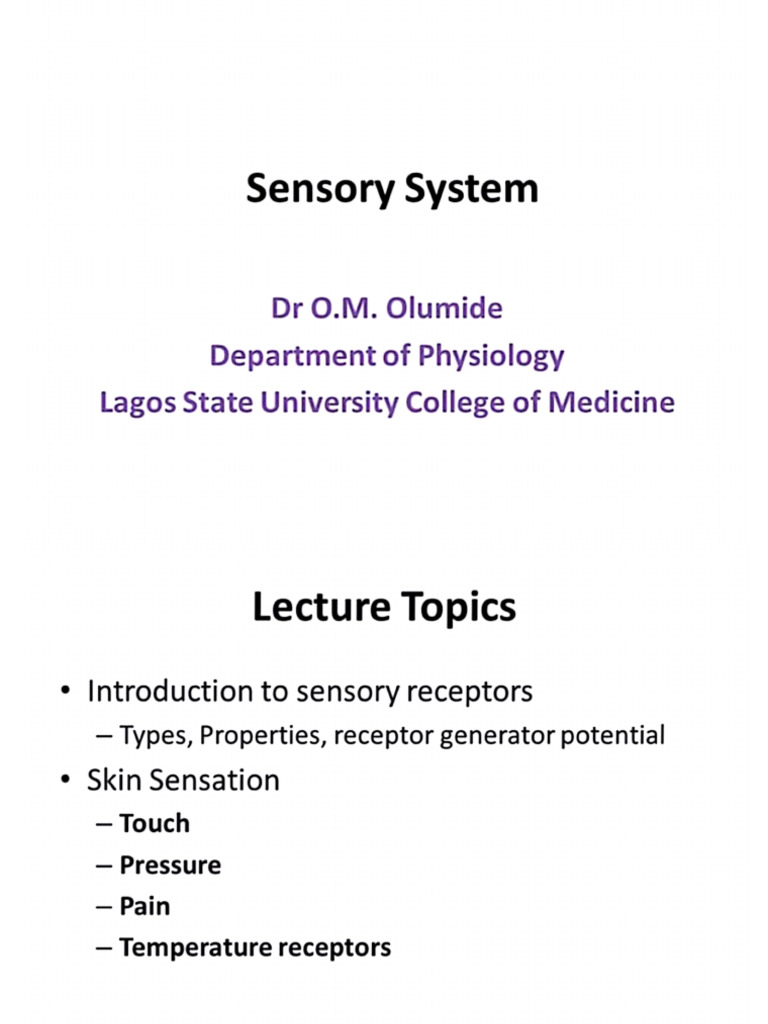Sensory System | PDF
