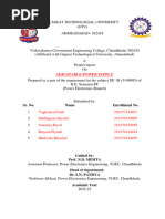 PDF Document