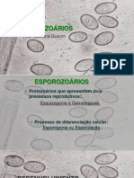 Esporozoarios Intestinais e Extraintestinais