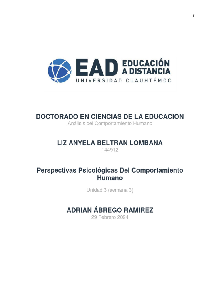 PERPESTIVA 2000 visual data 4