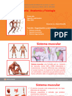 Anatomia_y_Fisiología._Clase_estructura_osea_y_piel[1]