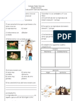 Evaluacion Naturales Primerrr
