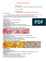 Resumo Histologia I