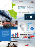 Reporte Informativo 2015 San Martín