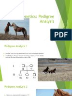 Genetics Pedigree Analysis PowerPoint