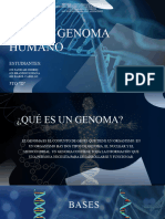 Primer Genoma Humano