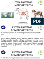 Sistema Digestivo Monogastricos