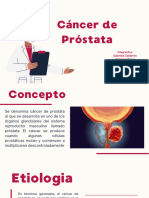 Presentación Medicina Embriología Profesional Beige Granate