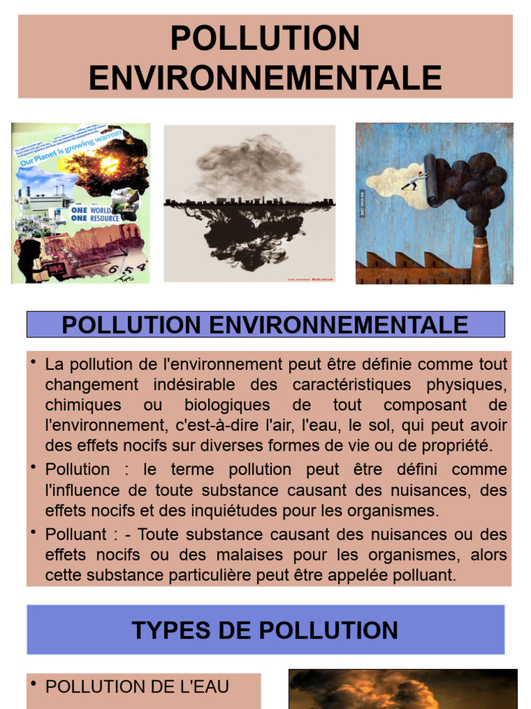 Pollution de l'air : causes et conséquences | PDF | Maison et jardin ...