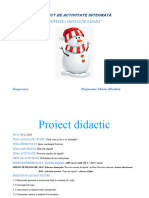 Proiect de Activitate Integrată