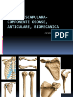 Biomecanica 5-Centura Scapulara - Componente Osoase, Articulare, Biomecanica