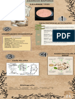 Infografia Linea Del Tiempo Moderno Beige - 20240128 - 092038 - 0000