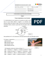 Ciências Naturais 6º Ano