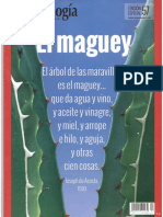 57 El Maguey Esp