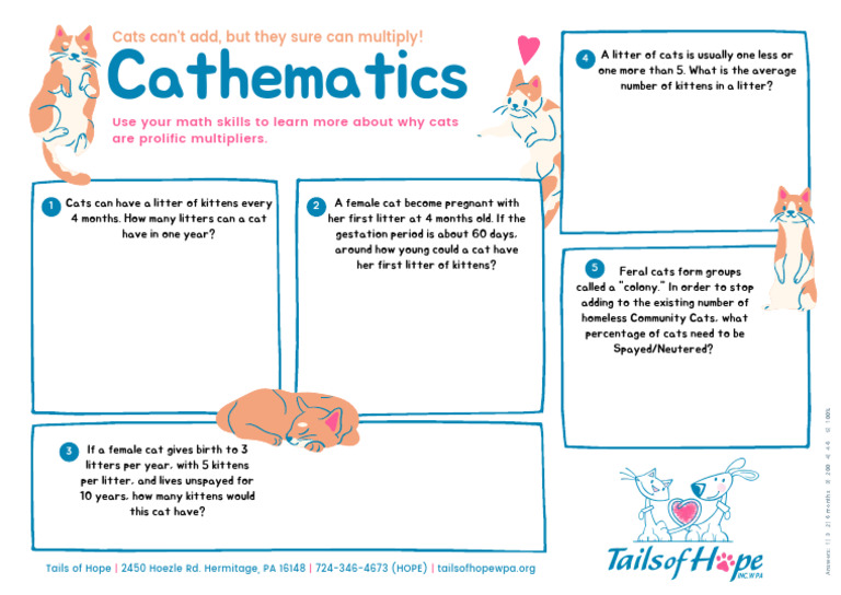 ToH Cathematics Wksheet 1 | PDF | Cats | Kitten