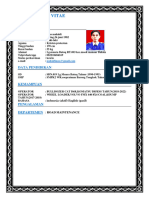 Curriculum Vitae 02