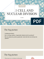 D 2.1 Cell and Nuclear Division