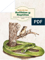 Guia de Anfibios y Reptiles