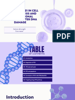 Functions of p21 in Cell Cycle, Apoptosis and Transcriptional Regulation After DNA Damage-1