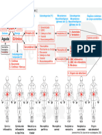 Organograma Dor, Tipos de Dor e Subcategorias