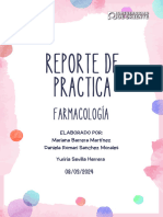 Reporte de Práctica