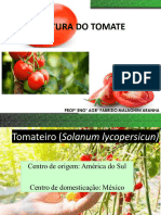 Cultura Do Tomate Aula 1