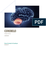 CEREBELO