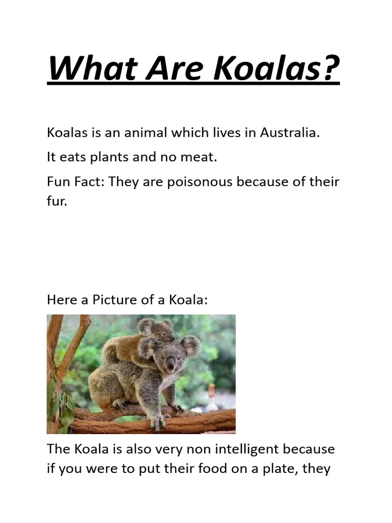 Koala | PDF