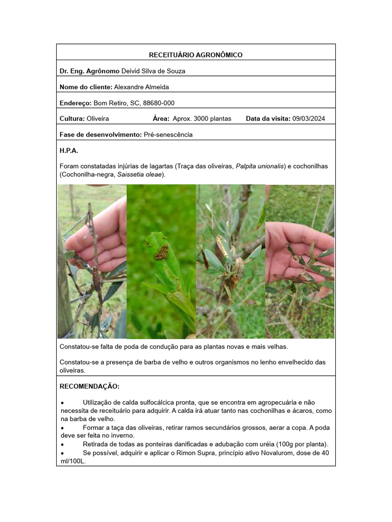 receitu-rio-agron-mico-para-oliveira-e-frut-feras-pdf-hogar