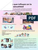 Infografia Factores de La Sec