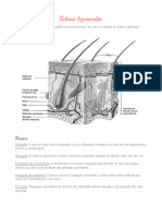 Sistema Tegumentar