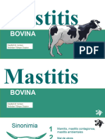 Mastitis Bovina