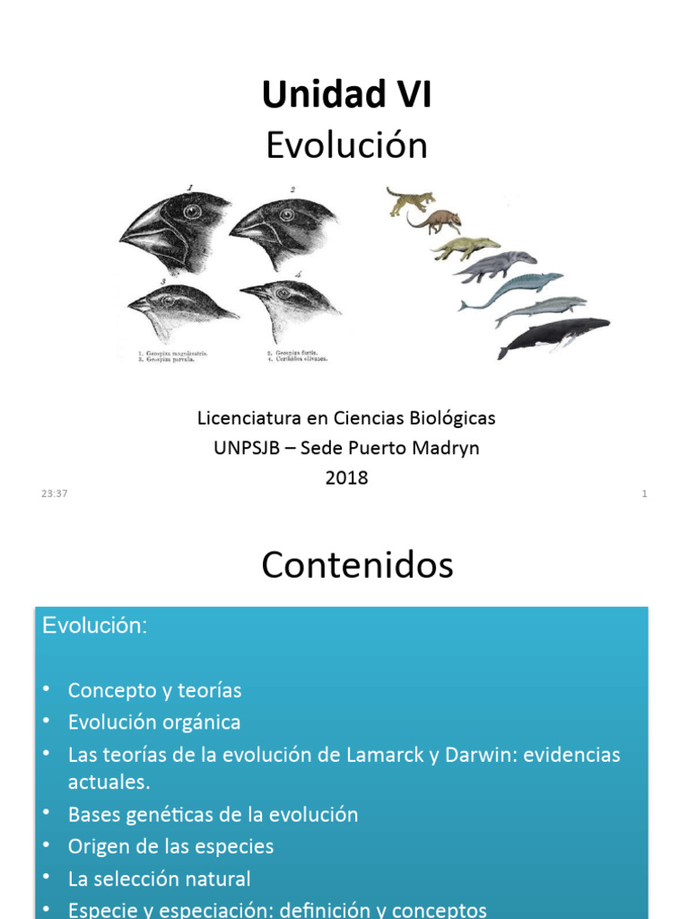 Teorías de la Evolución: Lamarck y Darwin | PDF | Evolución | Seleccion ...
