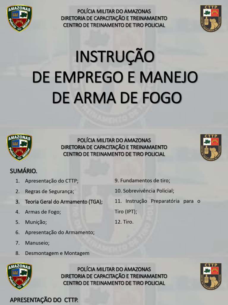 Instrução de Manejo de Armas de Fogo | PDF | Gatilho (armas de fogo) |  Projéteis, image size:768x1024