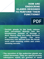How Are Endocrine Glands Designed To Perform Their