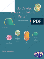 Ciclo Celular Parte 1