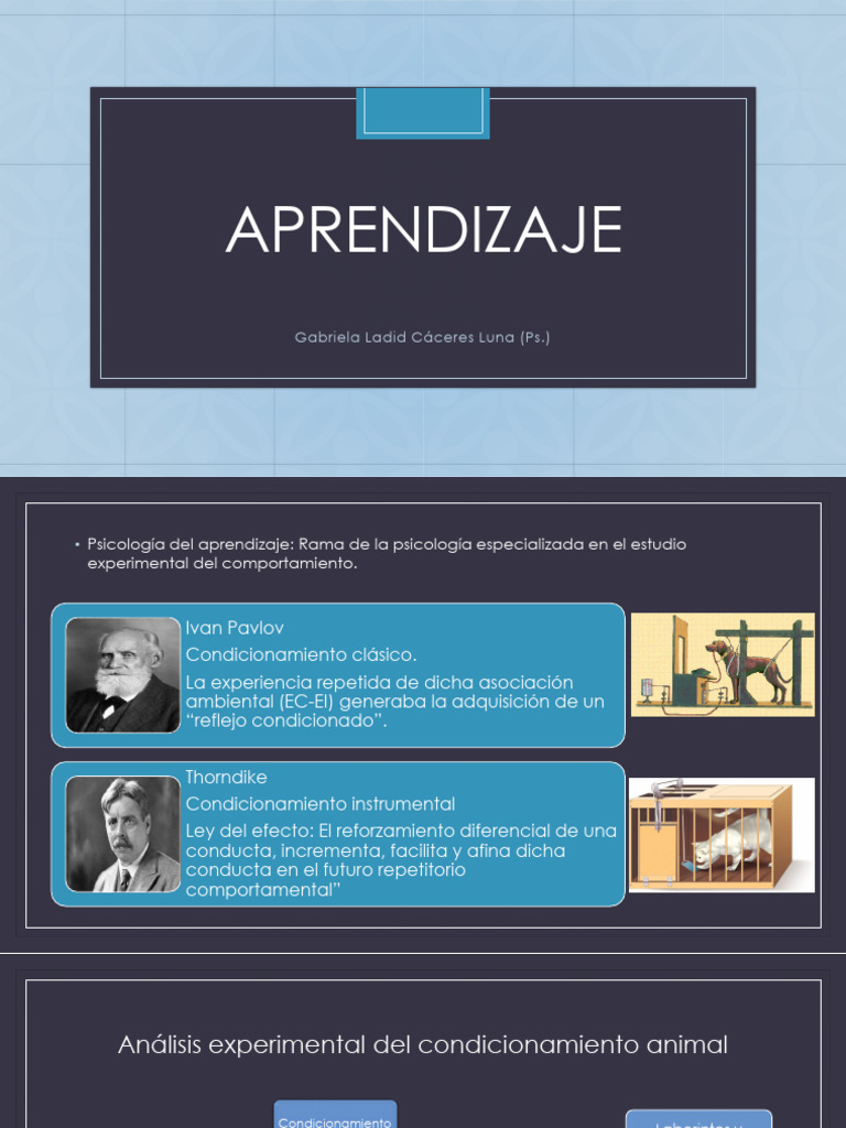 Aprendizaje | PDF | Crecimiento personal y profesional | Ciencia y ...
