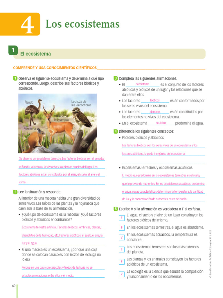 Características de los ecosistemas | PDF | Ecosistema | Ecología