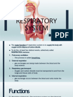 Respiratory System