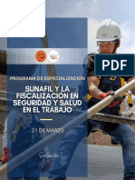 Sunafil y La Fiscalización en SST 21-03-2024