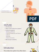 Endocrine System