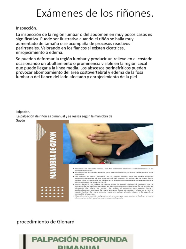 Exámenes de Los Riñones | PDF