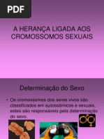A HERANÇA DOS CROMOSSOMOS SEXUAIS