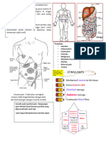 Acute Abdomen