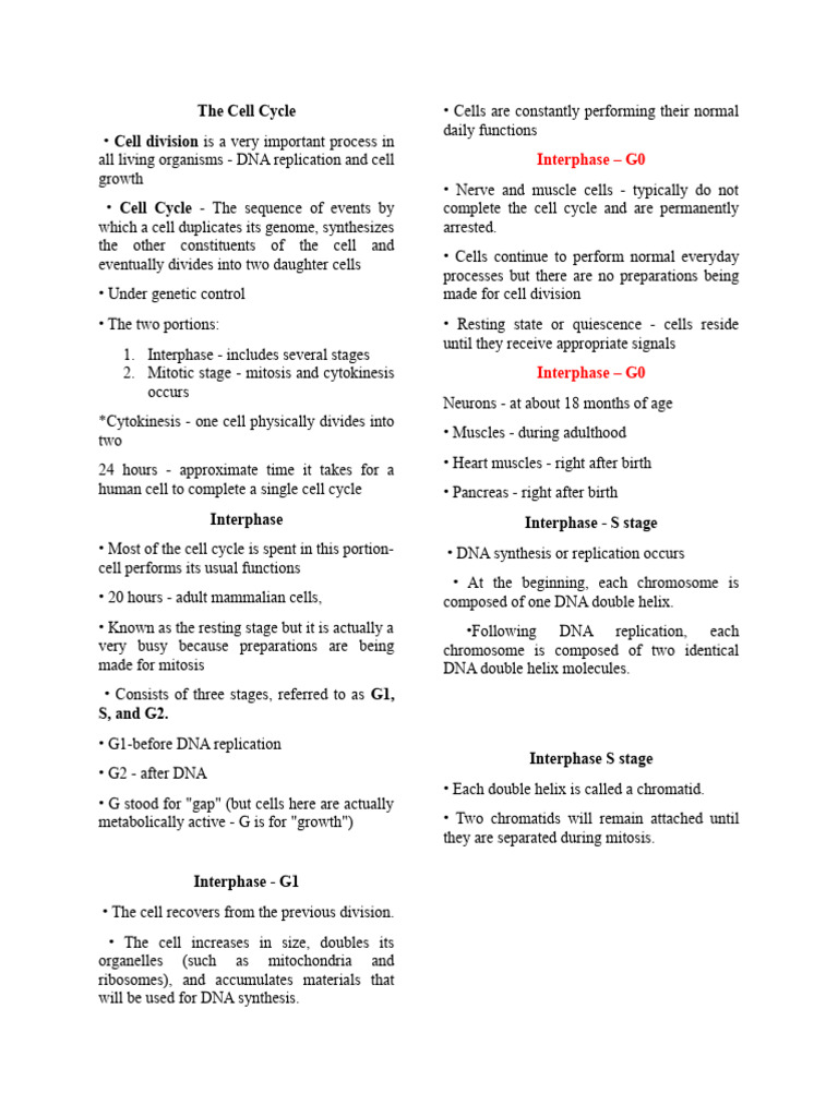 The Cell Cycle | PDF