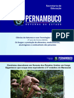 Os Fungos A Produção de Alimentos, Medicamentos, Alucinógenos e Combustíveis Não-Poluentes