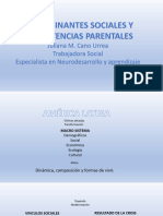 Determinantes Sociales y Competencias Parentales - Juliana Cano