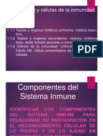 1.1 Tejidos y Celulas de La Inmunidad